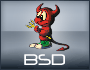 BSO